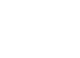 Ivivace%20Technologies